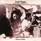 Scenic Routes by The Lost Dogs
