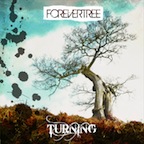 Idiot Box by Forevertree